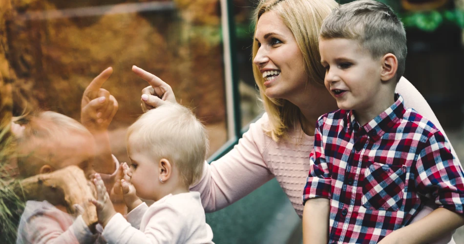 Things to Do in Kuwait with Family & Kids